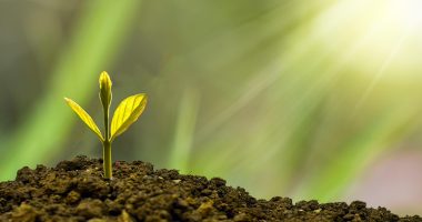 how to increase business revenue 2026 - Crypto Tips Now
