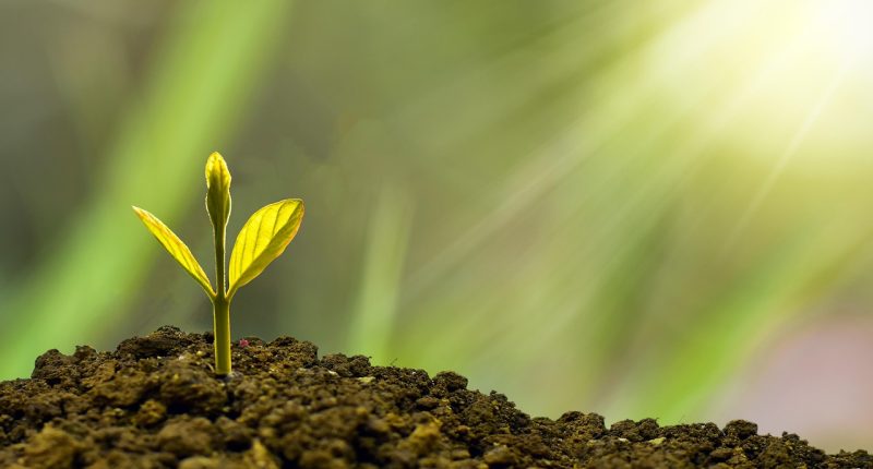 how to increase business revenue 2026 - Crypto Tips Now